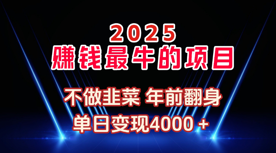 2025年赚钱最牛的项目 不做韭菜 年前翻身副业工作-副业资源站-副业项目-创业项目-搞钱项目个人副业工作资源分享