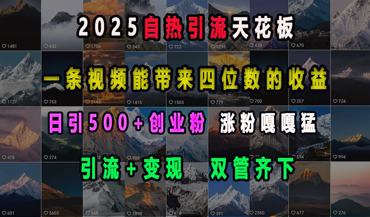 2025自热引流天花板，一条视频能带来四位数的收益，引流+变现双管齐下，日引500+创业粉，涨粉嘎嘎猛副业工作-副业资源站-副业项目-创业项目-搞钱项目个人副业工作资源分享