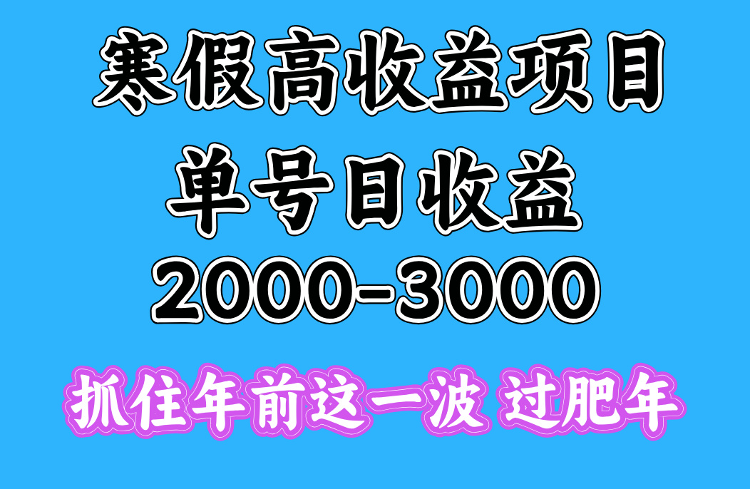 寒假期间一天收益2000-3000+，抓住年前这一波副业工作-副业资源站-副业项目-创业项目-搞钱项目个人副业工作资源分享