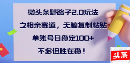 全网首发微头条野路子2.0玩法之相亲赛道，无脑搬砖复制粘贴，单账号日稳定300+保姆级教程副业工作-副业资源站-副业项目-创业项目-搞钱项目个人副业工作资源分享
