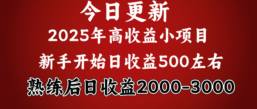好项目一眼就能看出来，日收益1000，长久可做，2025拼的就是我比你勤奋副业工作-副业资源站-副业项目-创业项目-搞钱项目个人副业工作资源分享