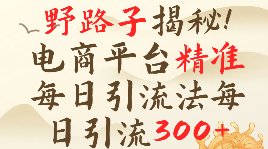 野路子揭秘！电商平台每日引流300＋独家揭秘详细流程！副业工作-副业资源站-副业项目-创业项目-搞钱项目个人副业工作资源分享