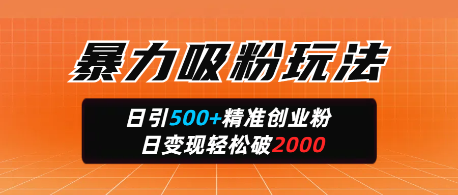 暴力吸粉玩法，日引500+精准创业粉，日变现轻松破2000副业工作-副业资源站-副业项目-创业项目-搞钱项目个人副业工作资源分享