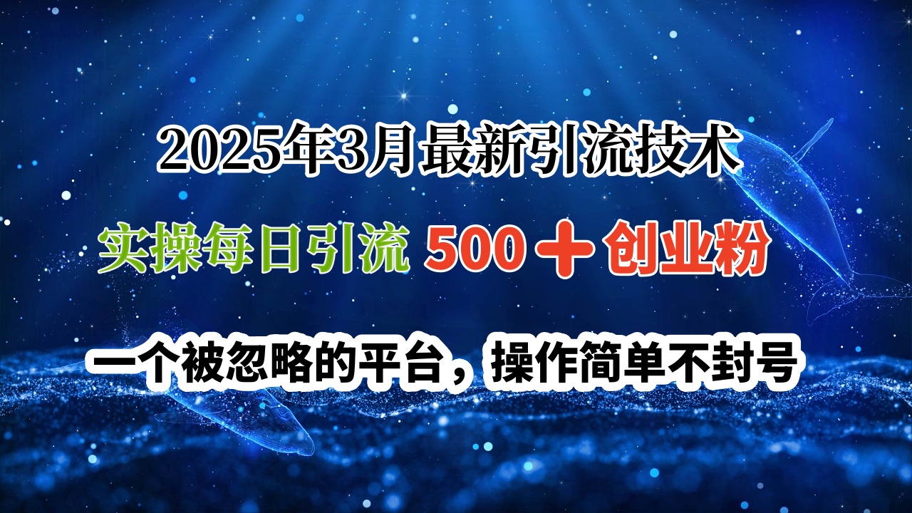 2025年3月最新引流技术，实操每日引流500➕创业粉，一个被忽略的平台，操作简单不封号副业工作-副业资源站-副业项目-创业项目-搞钱项目个人副业工作资源分享