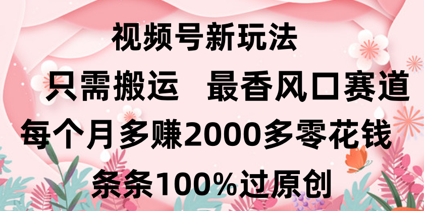 日入2000+，条条100%过原创，视频号最香风口赛道，小白轻松上手副业工作-副业资源站-副业项目-创业项目-搞钱项目个人副业工作资源分享