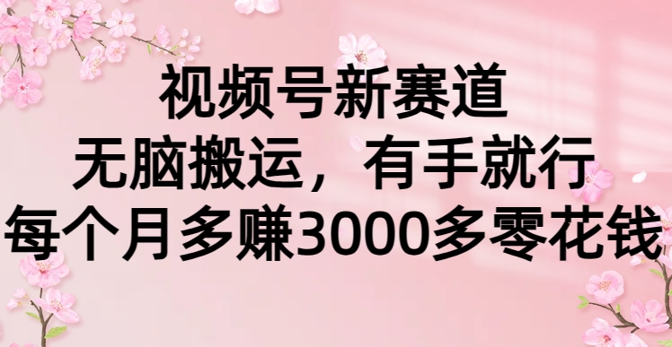 视频号新赛道，无脑搬运，有手就行，每个月多赚3000多零花钱副业工作-副业资源站-副业项目-创业项目-搞钱项目个人副业工作资源分享