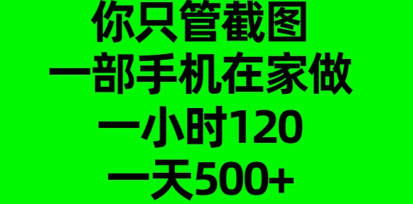 你只管截图，一部手机在家做，一小时120，一天500+副业工作-副业资源站-副业项目-创业项目-搞钱项目个人副业工作资源分享