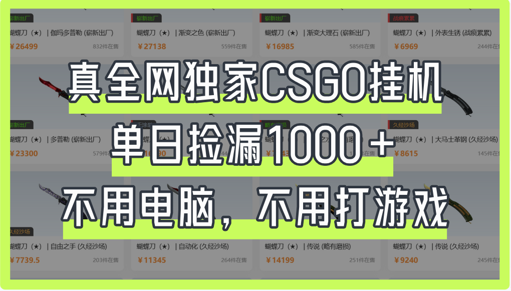 真全网独家CSGO挂机，单日捡漏1000+副业工作-副业资源站-副业项目-创业项目-搞钱项目个人副业工作资源分享