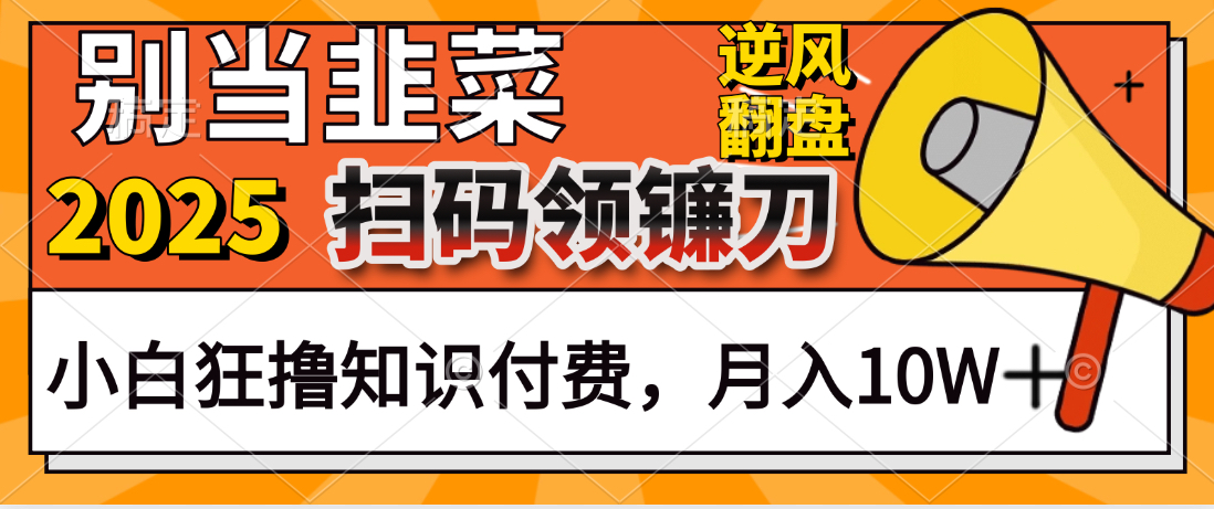 2025别当韭菜！扫码领镰刀！小白狂撸知识付费月入10W+副业工作-副业资源站-副业项目-创业项目-搞钱项目个人副业工作资源分享